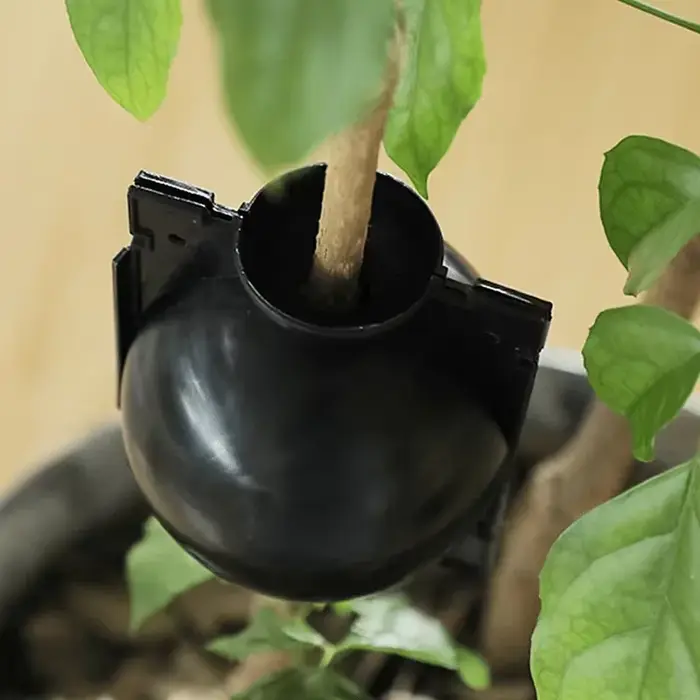 Lot de 10 Boîtes de Propagation pour Racines de Plantes – Réutilisables pour l'Enracinement