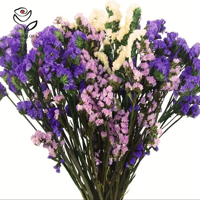 Fleurs éternelles séchées mélangées pour la décoration de la maison et de la chambre