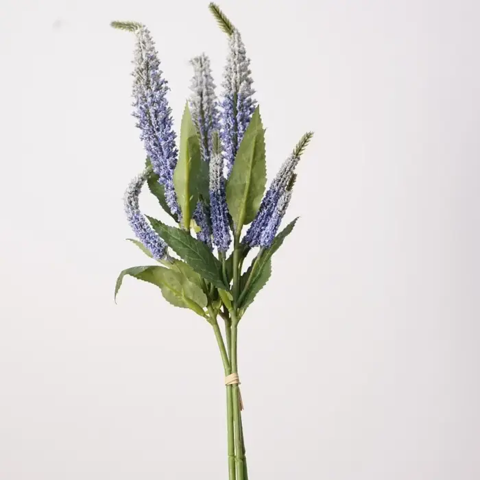Bouquet de sauge à tige courte de 18