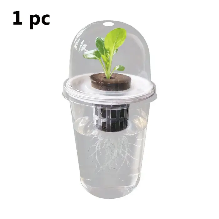 Pot hydroponique cylindrique Transparent en plastique, pour plantes succulentes, pommes de terre dou