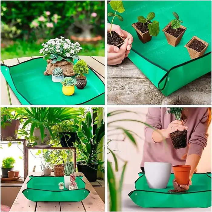 Tapis de régénération des plantes