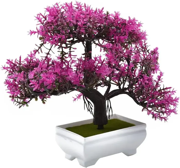 Plantes artificielles bonsaï