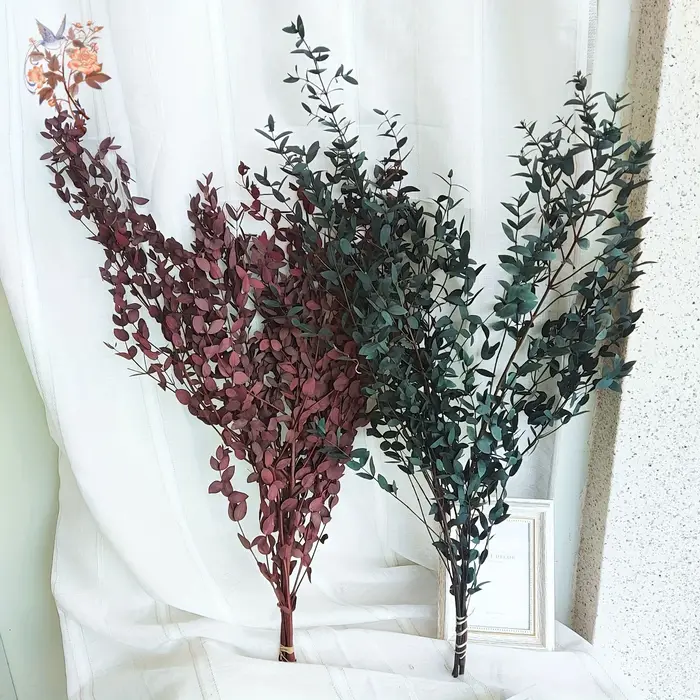 Bouquet de feuilles d'eucalyptus naturelles
