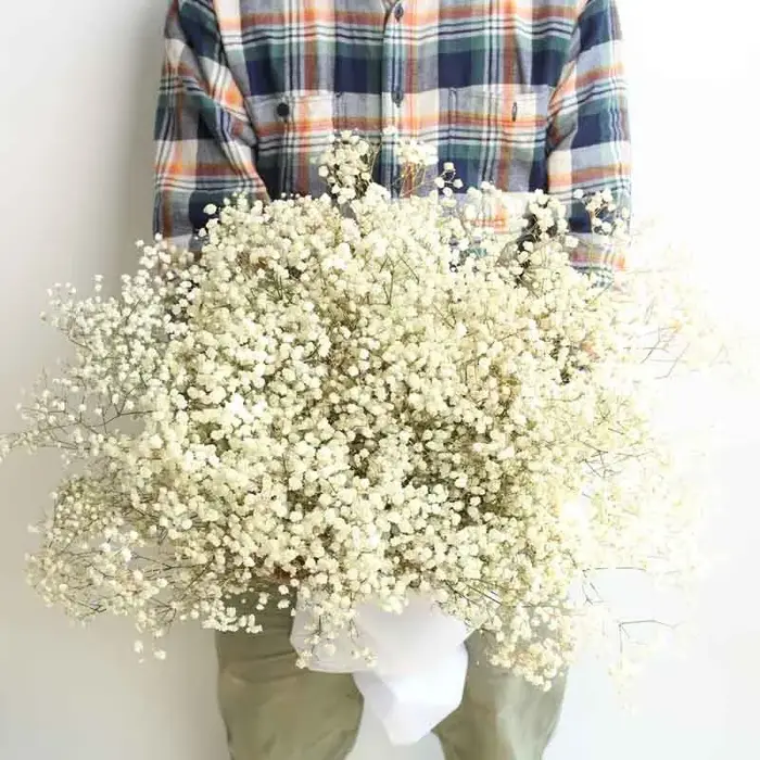 Bouquet de fleurs séchées pour bébé