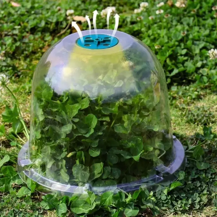 Protecteur de plante isolé pour serre