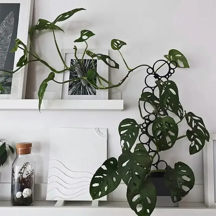 Support créatif en métal pour plantes en pot