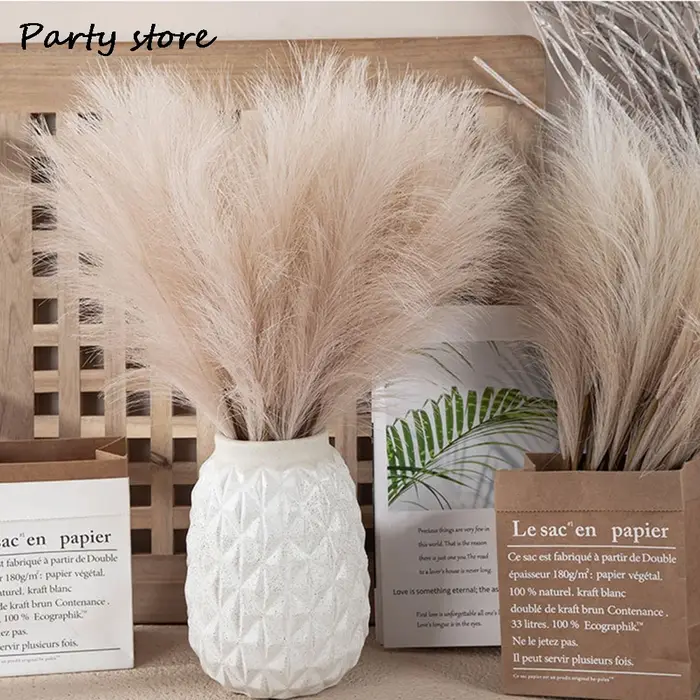 Pampa pelucheux noir, 100 pièces