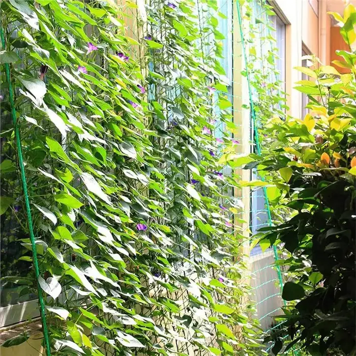 BSEVB - Filet de treillis pour plantes de jardin 3