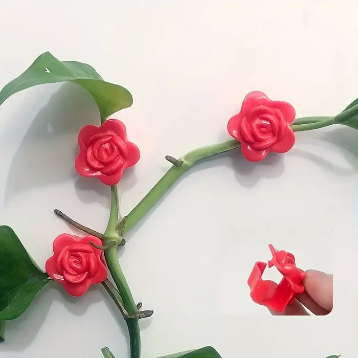 Clips de fixation murale pour plantes grimpantes