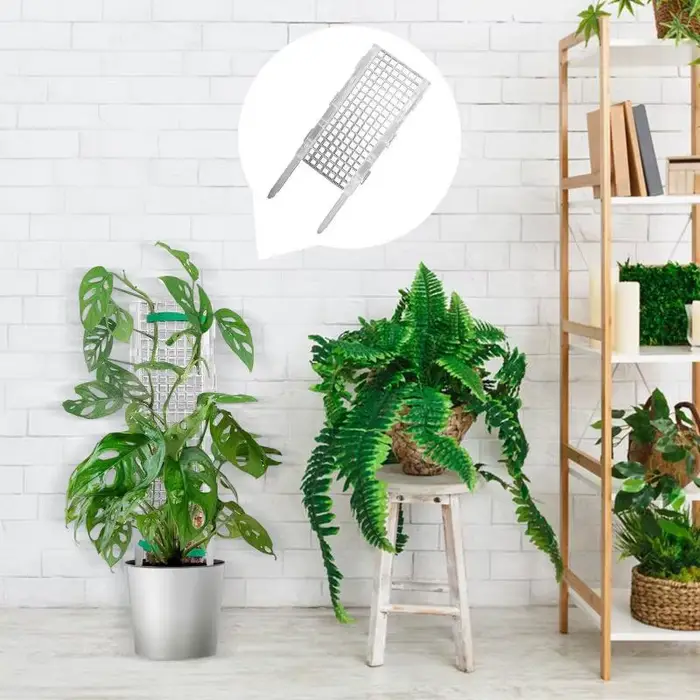 Support en plastique pour plantes vertes