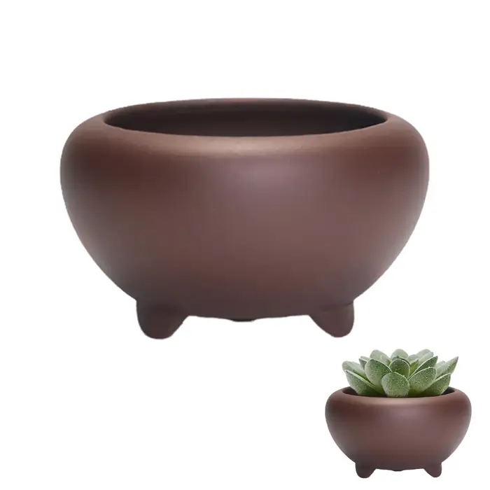Pot de fleurs succulentes en grès pour la maison