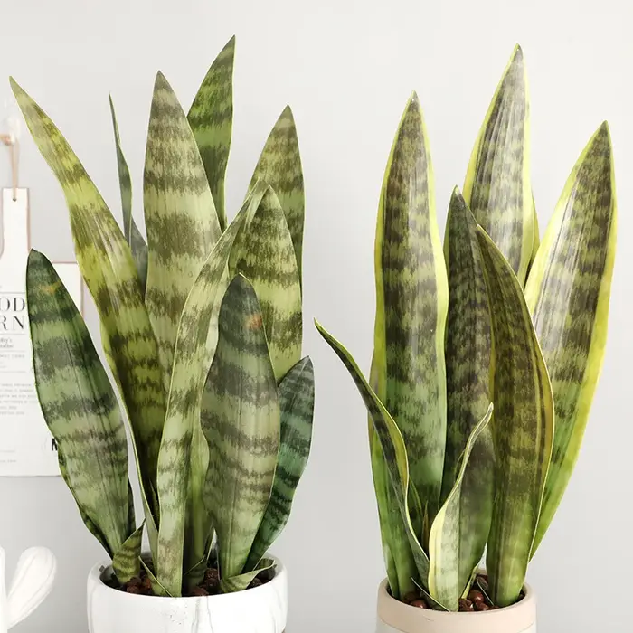 Plantes de tigre Piran artificielles en plastique Tropical