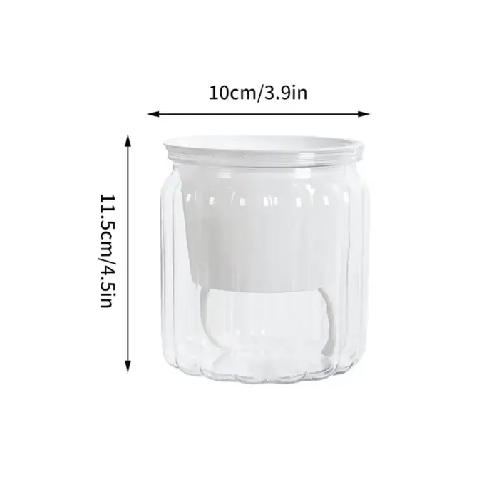 Mini jardinière hydroponique pour plantes succulentes d'intérieur