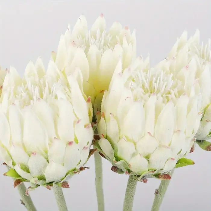 Fleurs artificielles de chardon nordique, fleurs empereur, fleurs pour mariage et fiançailles, fleurs décoratives pour fête et maison, 2 pièces