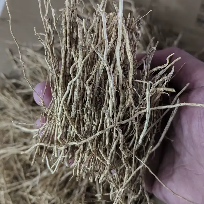 50g VETIVER – Lot de racines parfumées naturelles