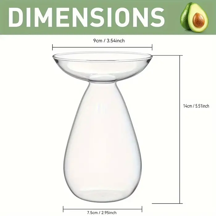Vase hydroponique d'avocat