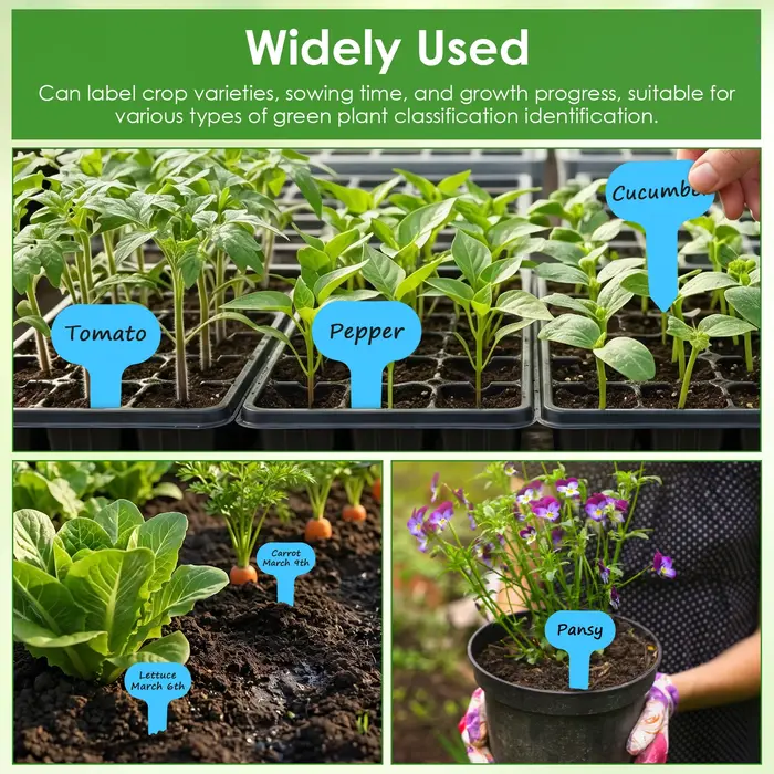 Étiquettes de plantes de jardin en plastique