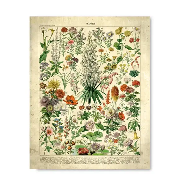 Affiches et imprimés Vintage de fleurs françaises, peinture sur toile d'art mural rétro botanique, i