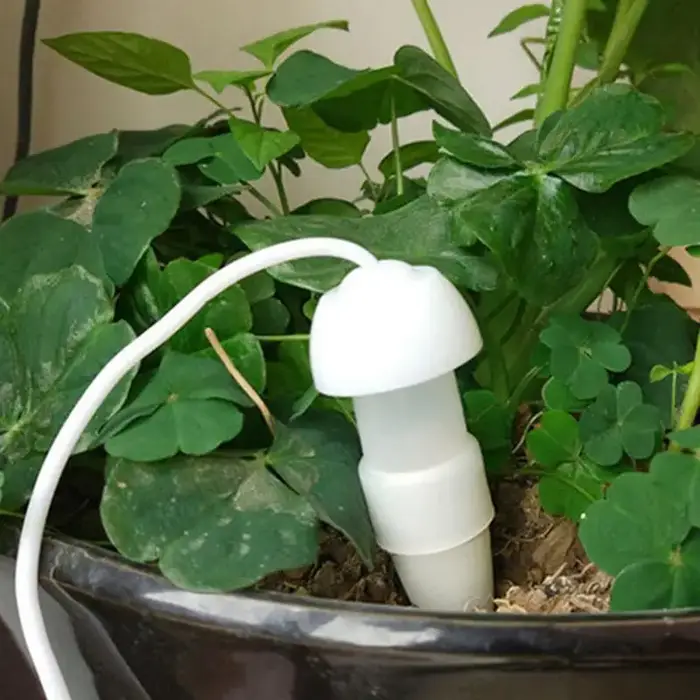 Dispositif d'arrosage automatique pour plantes