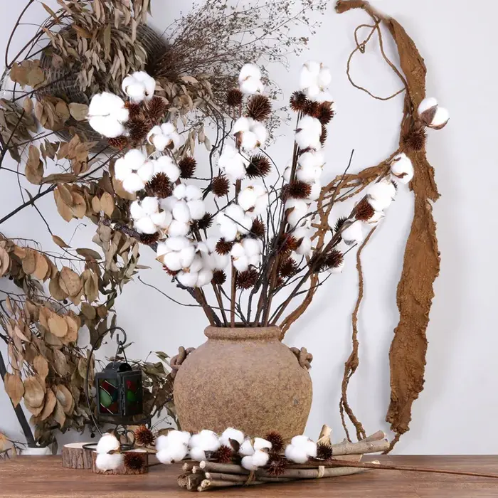 Fleurs de coton séchées naturellement