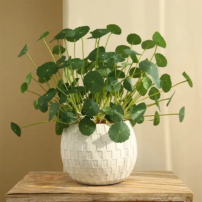 Plantes artificielles de lotus