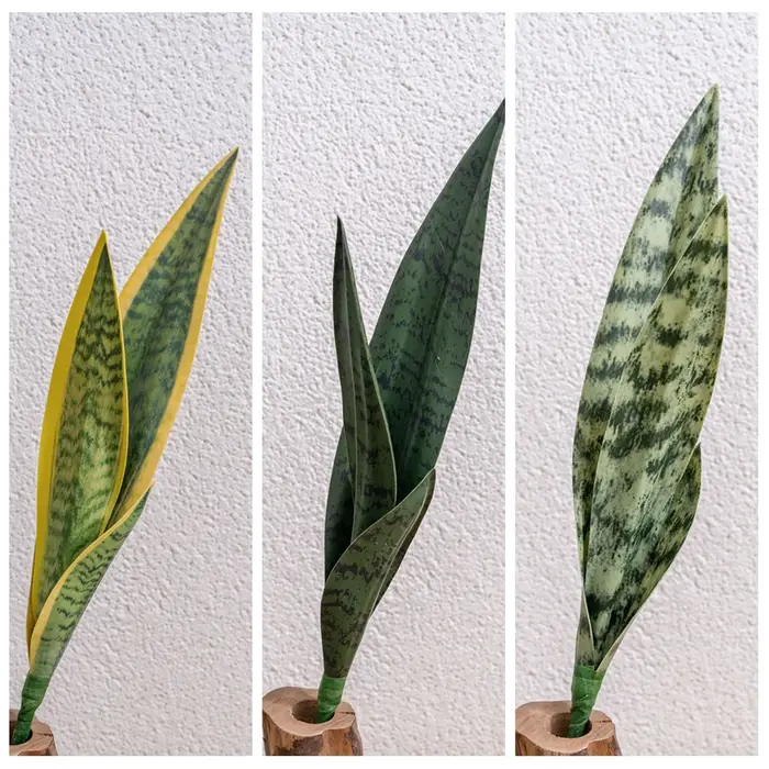Plante serpent artificielle
