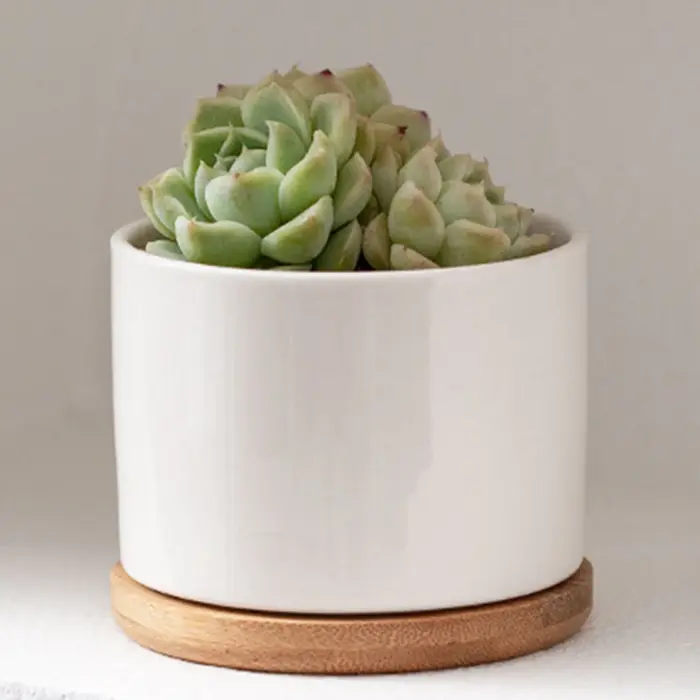 Pot de jardinière en céramique avec plateau en bambou
