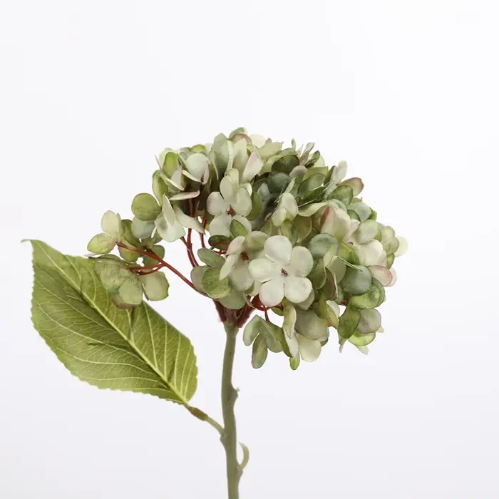 Hortensia artificiel fleurs en soie Homevase bonsaï accessoires mur de mariage bricolage cadeaux boî