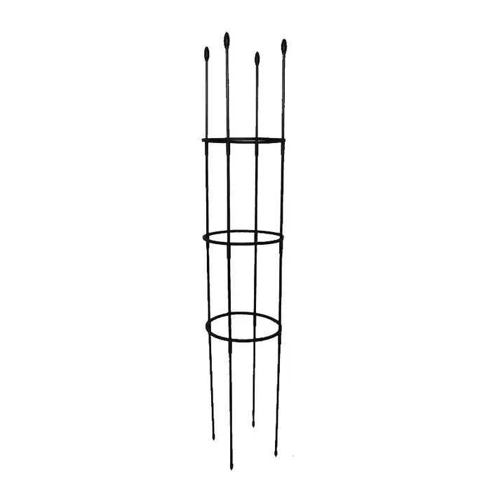 Cages de Support pour Plantes Grimpantes, Piquets de Jardin, Vigne, Tomates, Fournitures de Jardin e