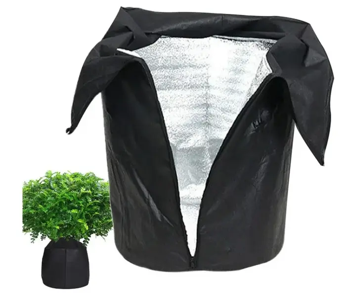 Couverture de plantes d'hiver