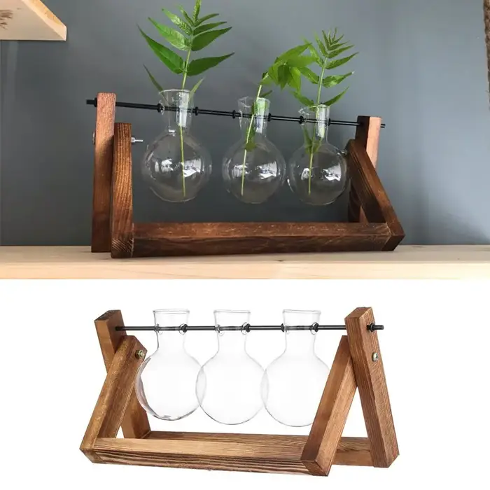 Vases de plantes hydroponiques