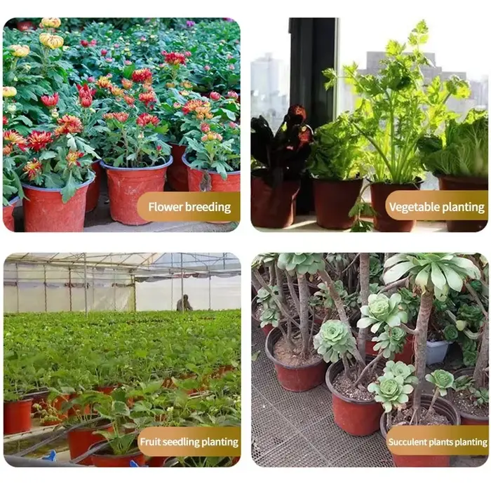 Pot de fleurs en plastique pour culture de plantes succulentes