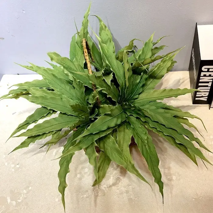 Plantes de fougère artificielles réalistes, 15 feuilles persanes pour décoration de jardin extérieur, Vase de bureau de mariage, plantes en caoutchouc souple