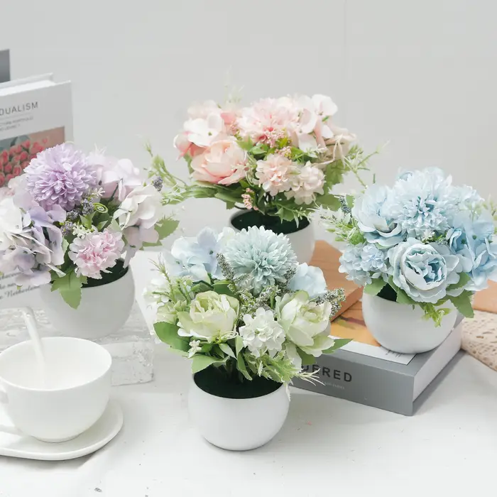 Plante d'hortensia en pot