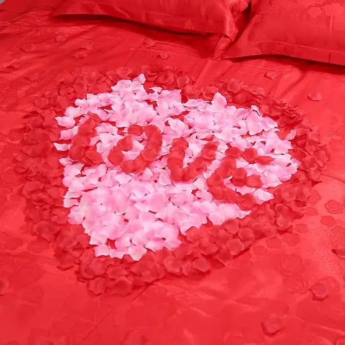 2000 pièces de pétales de Roses en soie