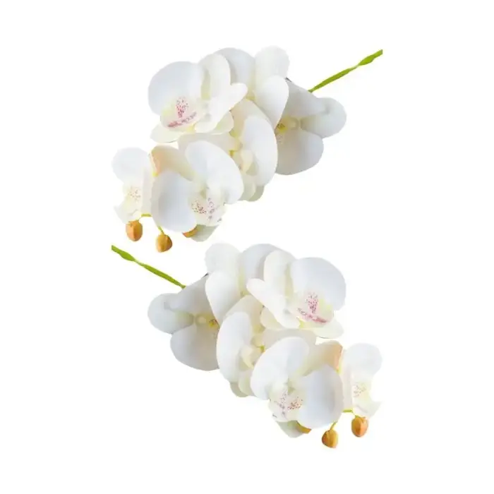 E8BD – lot 2 fleurs d'orchidées papillon