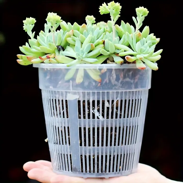 Lot de 6 pots à orchidées transparents avec trous de drainage