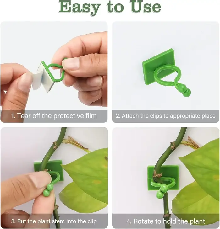 Clips de Support de Plantes pour Fleurs Grimpantes