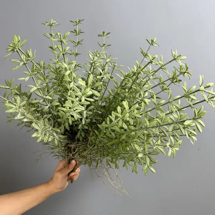 Lot de 6 fausses plantes vertes en plastique