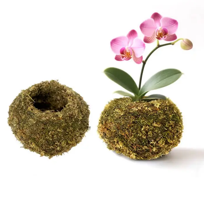 Pot de fleurs en boule de mousse