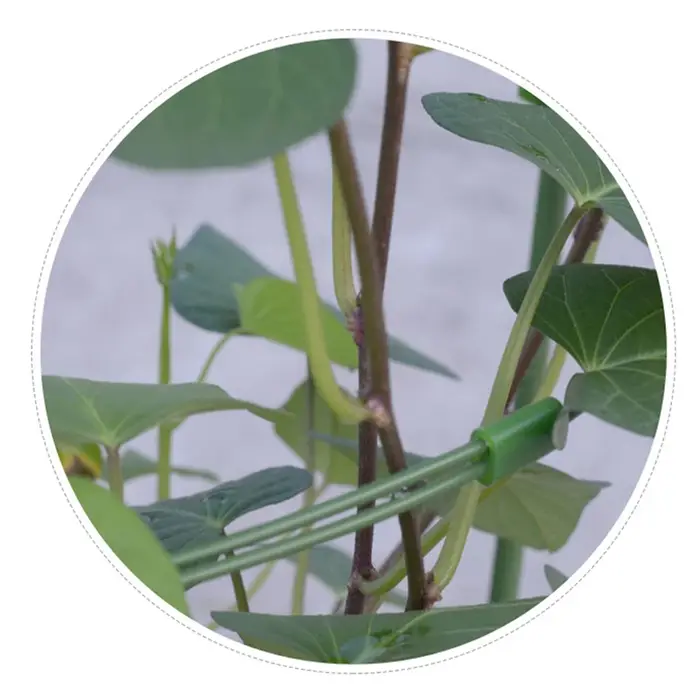 Nouvelle plante grimpante treillis Pot plantes Support cadre