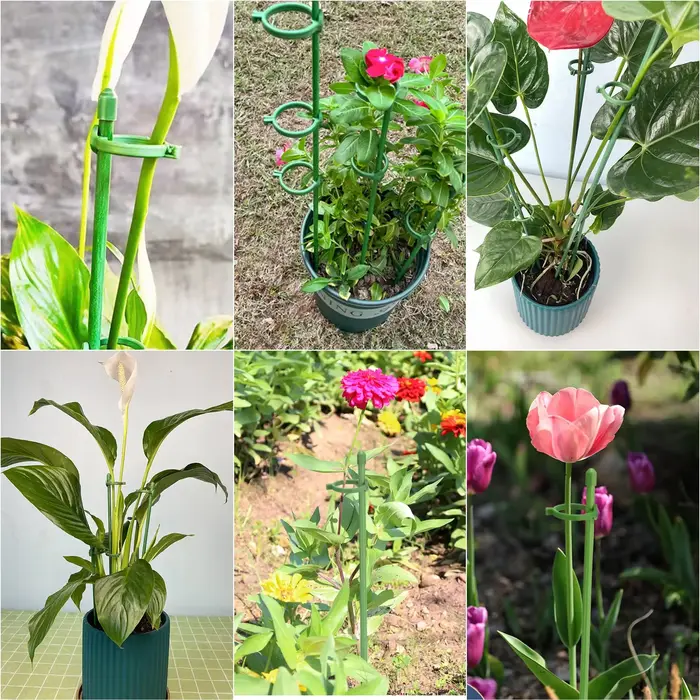 15 Pièces de Supports de Plantes Réglables, Supports de Fleurs de Jardin, Anneaux de Soutien pour Pl