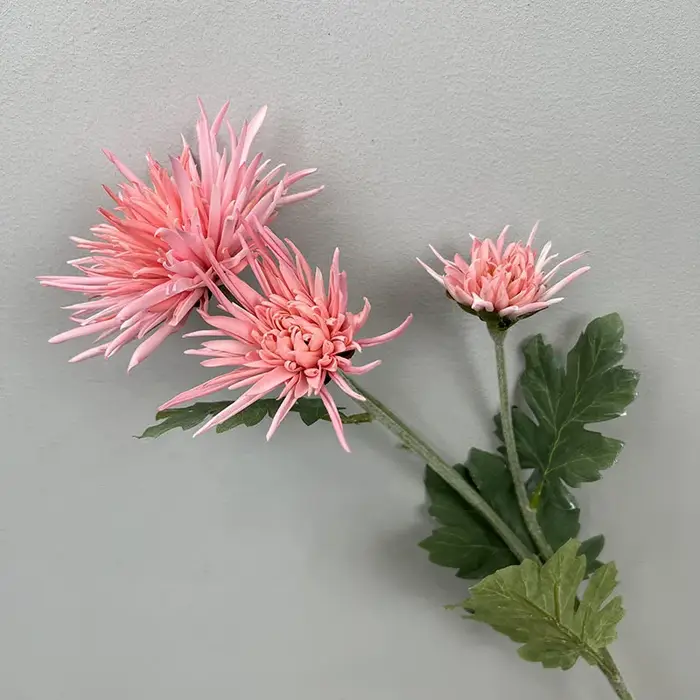 Crabe Griffe Chrysanthème Fleurs Artificielles