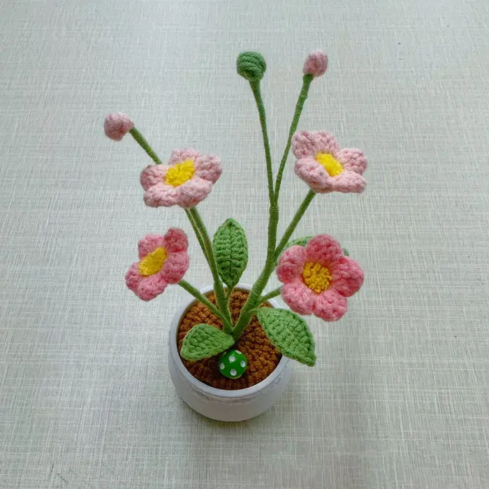 Pot de plante en crochet Oxalis fini à la main