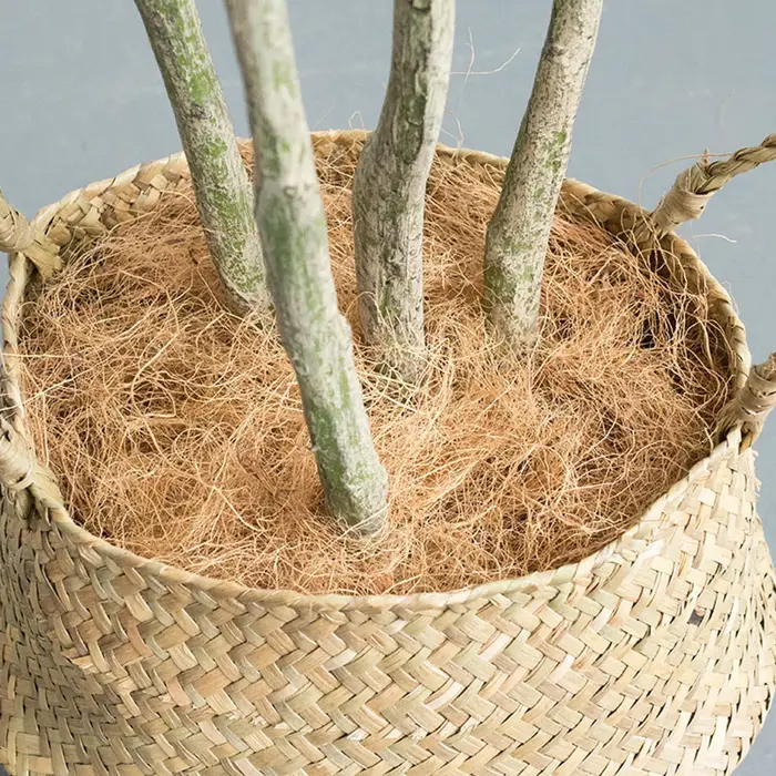Communautés teur sans poussière en fibre AMP pour les amateurs de jardin