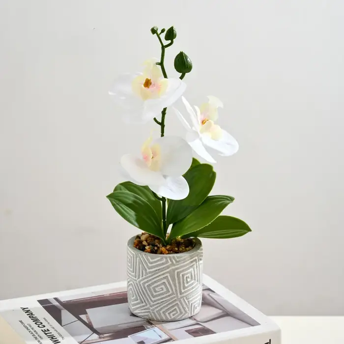 Créatif 3 fleurs et 3 feuilles Phalaenopsis bonsaï Simulation fleur