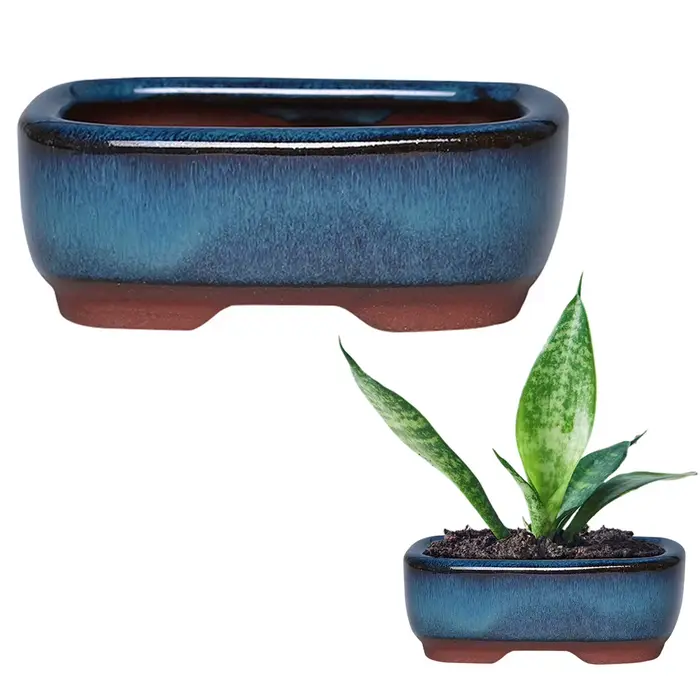 Pots de fleurs en céramique avec trou de vidange avec évent, faciles à utiliser pour les plantes d'i