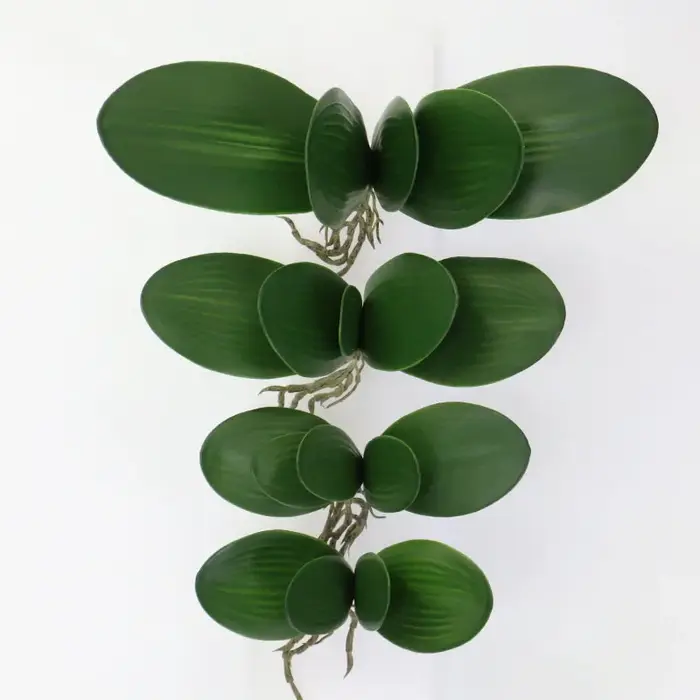 Plantes artificielles, feuilles de Phalaenopsis