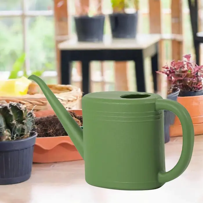 Arrosoir pour plantes d'intérieur 1L