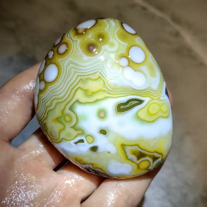  Pierres de palmier en agate naturelle pure, agate œil de chat, agate œil de fleur, pierres brute